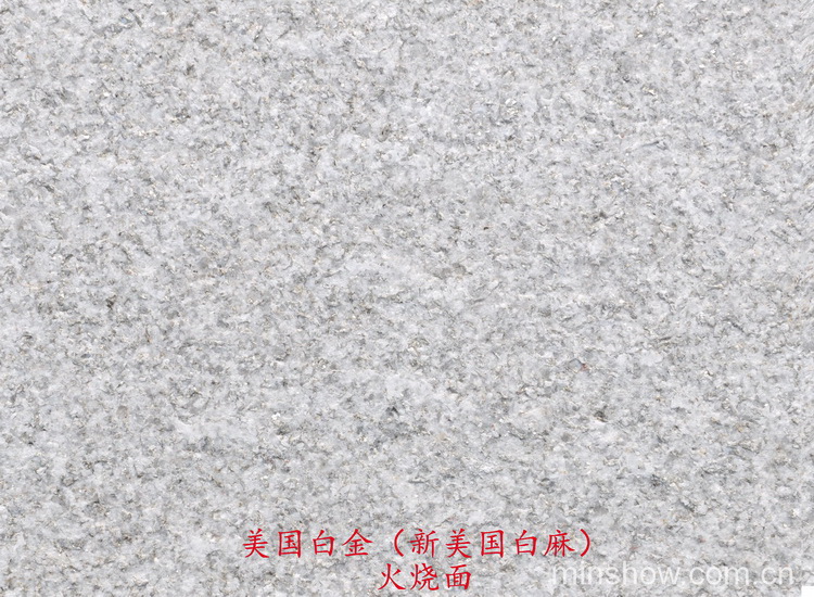 �����׽�  ����棨���������飩